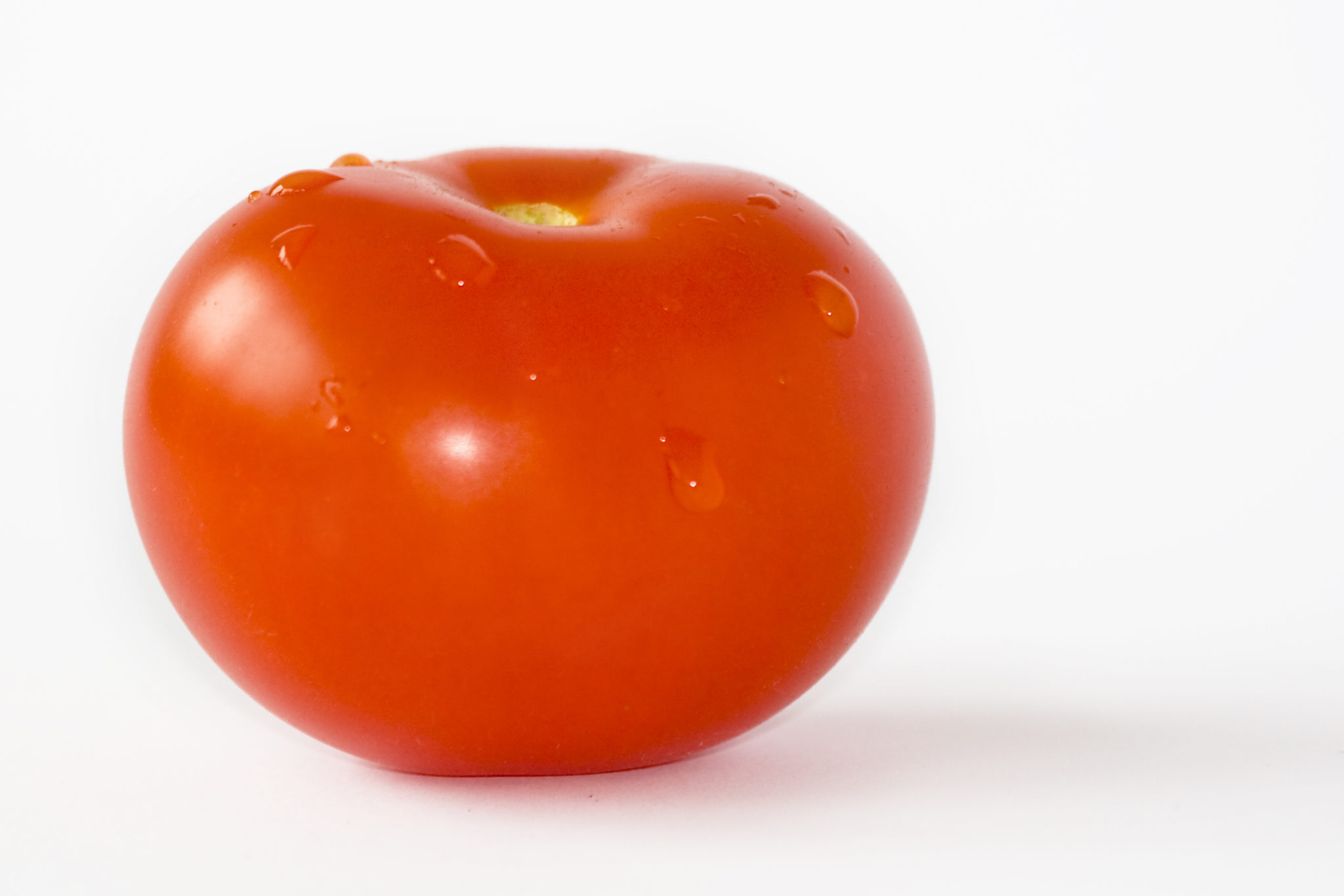 Como Plantar Tomate Rasteiro